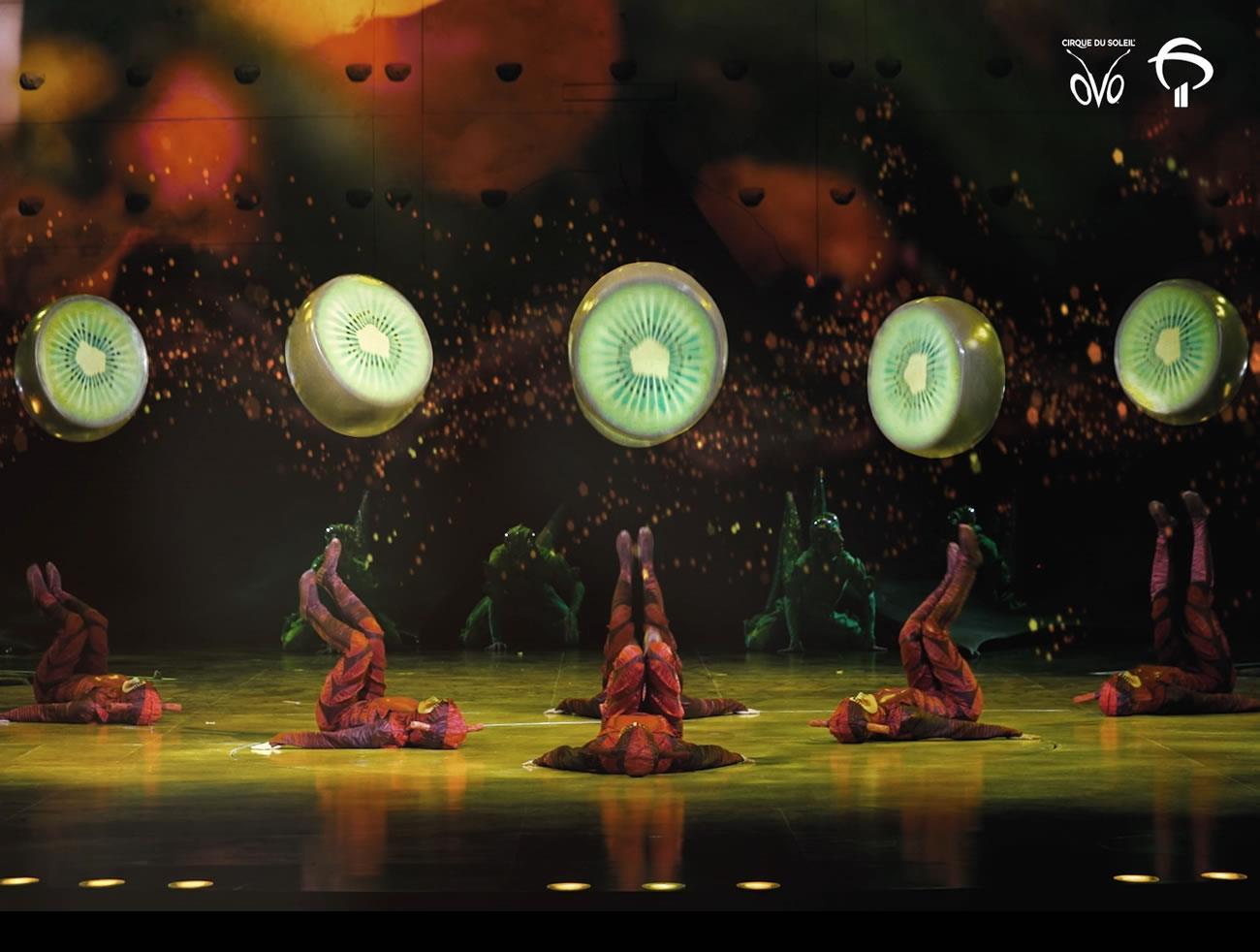 Bradesco e Cirque du Soleil em campanha integrada