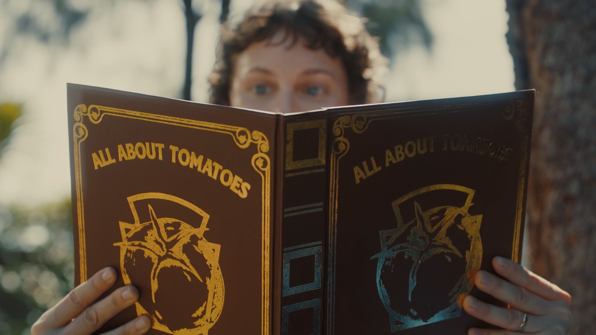 HEINZ COM AFRICA MOSTRA SUA ESTRELA: O TOMATE