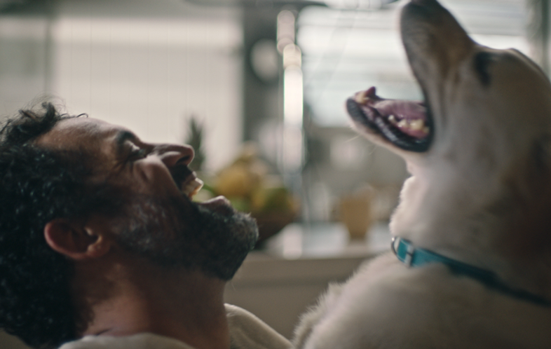 CACHORRO ESTRELA FILME DE CAMPANHA DA BB SEGUROS