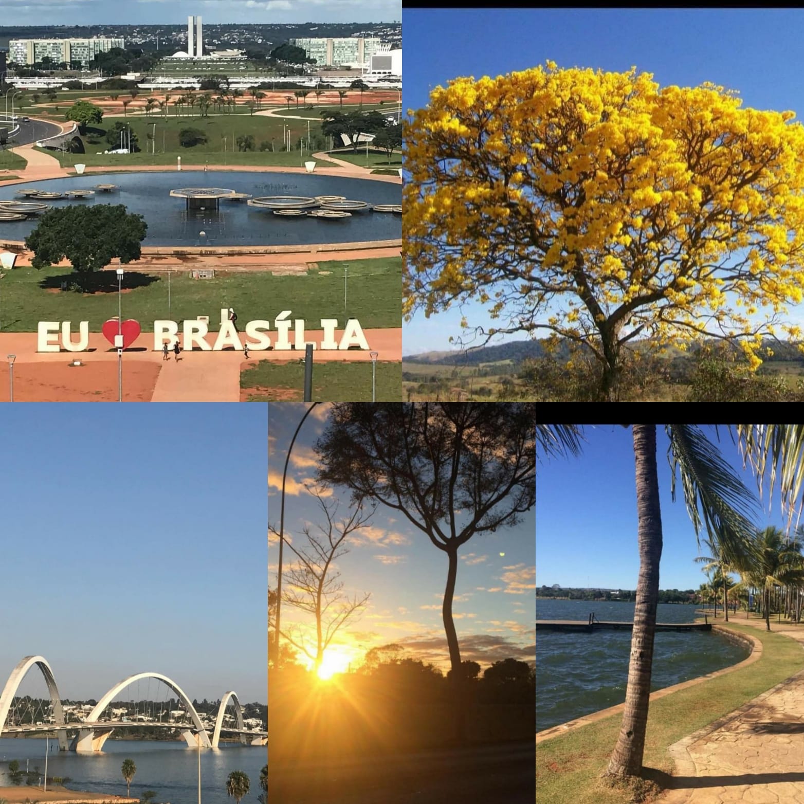 PARABÉNS PELOS TEUS 63 ANOS