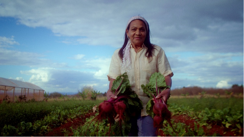 AGRICULTURA FAMILIAR É DESTAQUE NA NOVA SAFRA