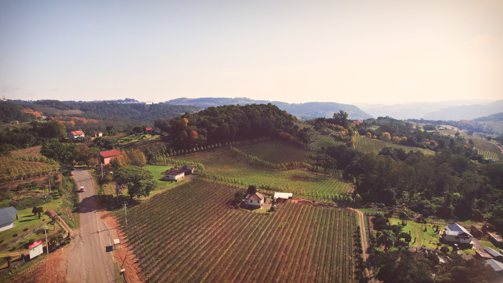 AÇÃO DE APOIO A VINHOS GAÚCHOS É EMBALADA POR “QUERÊNCIA AMADA”