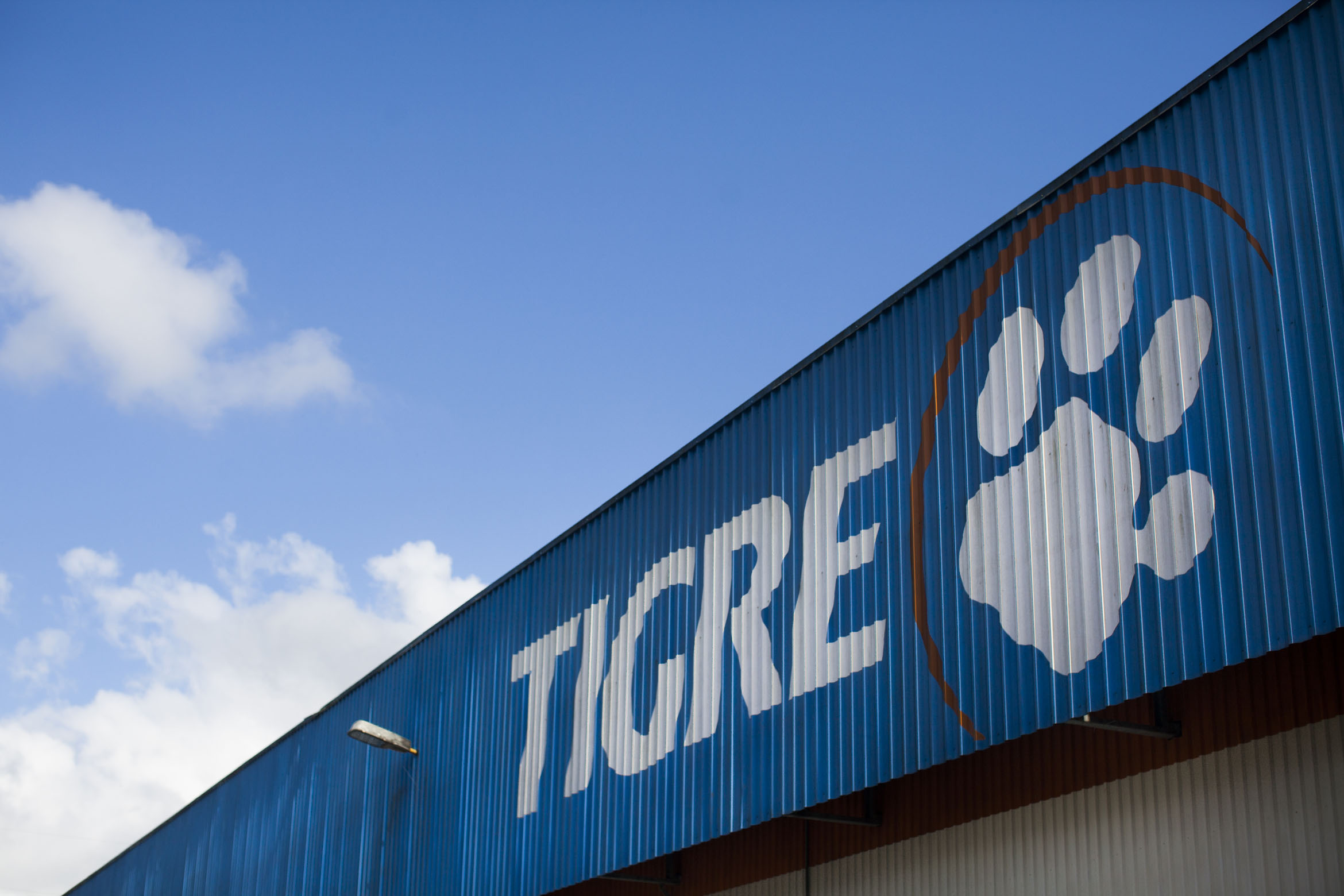 TIGRE DIVULGA RECALL EM CAMPANHA QUE FAZ ALUSÃO AO JOGO DO TIGRINHO