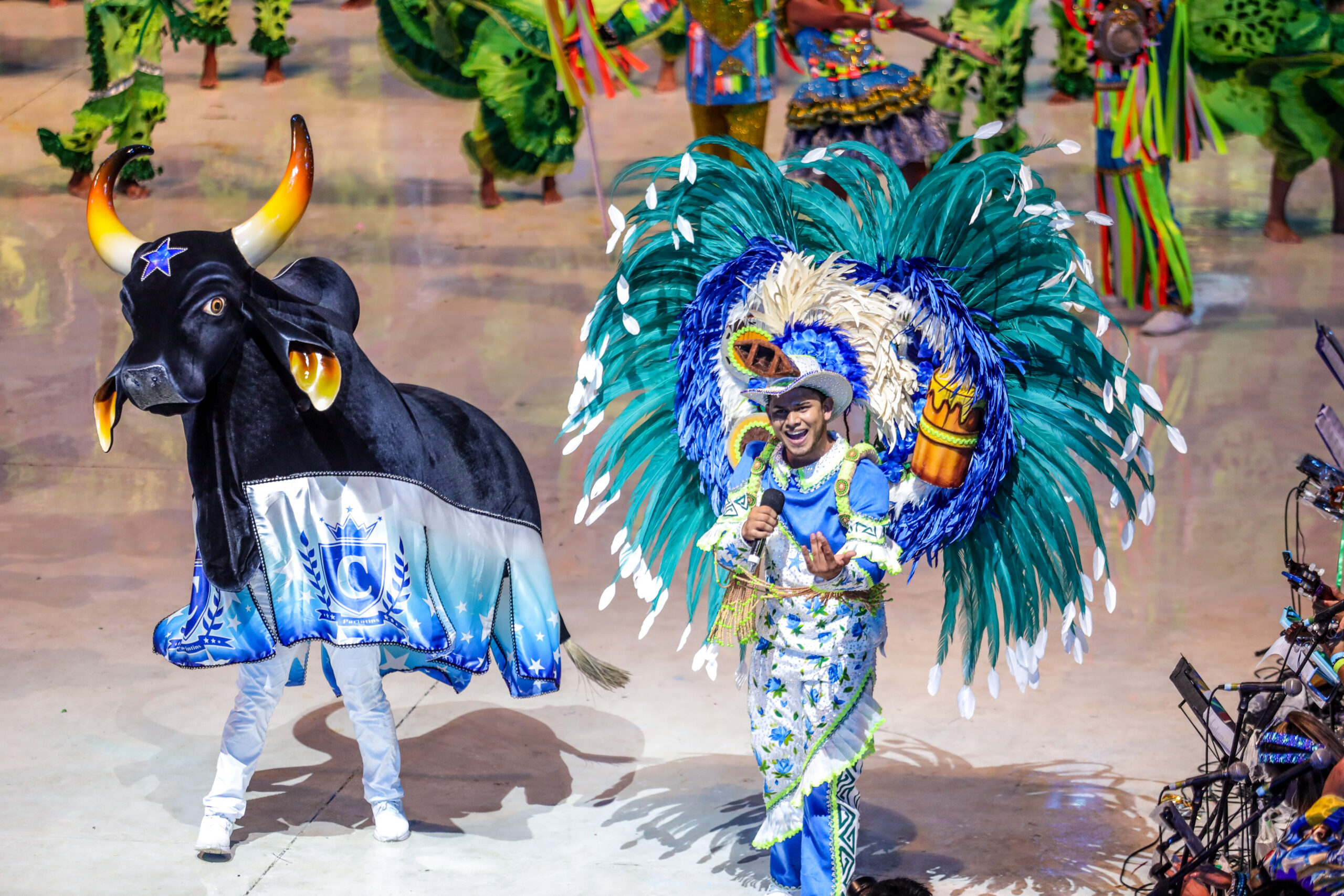 PETROBRAS CULTURAL VOLTA A PATROCINAR O FESTIVAL DE PARINTINS